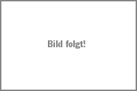 Rinde Güden